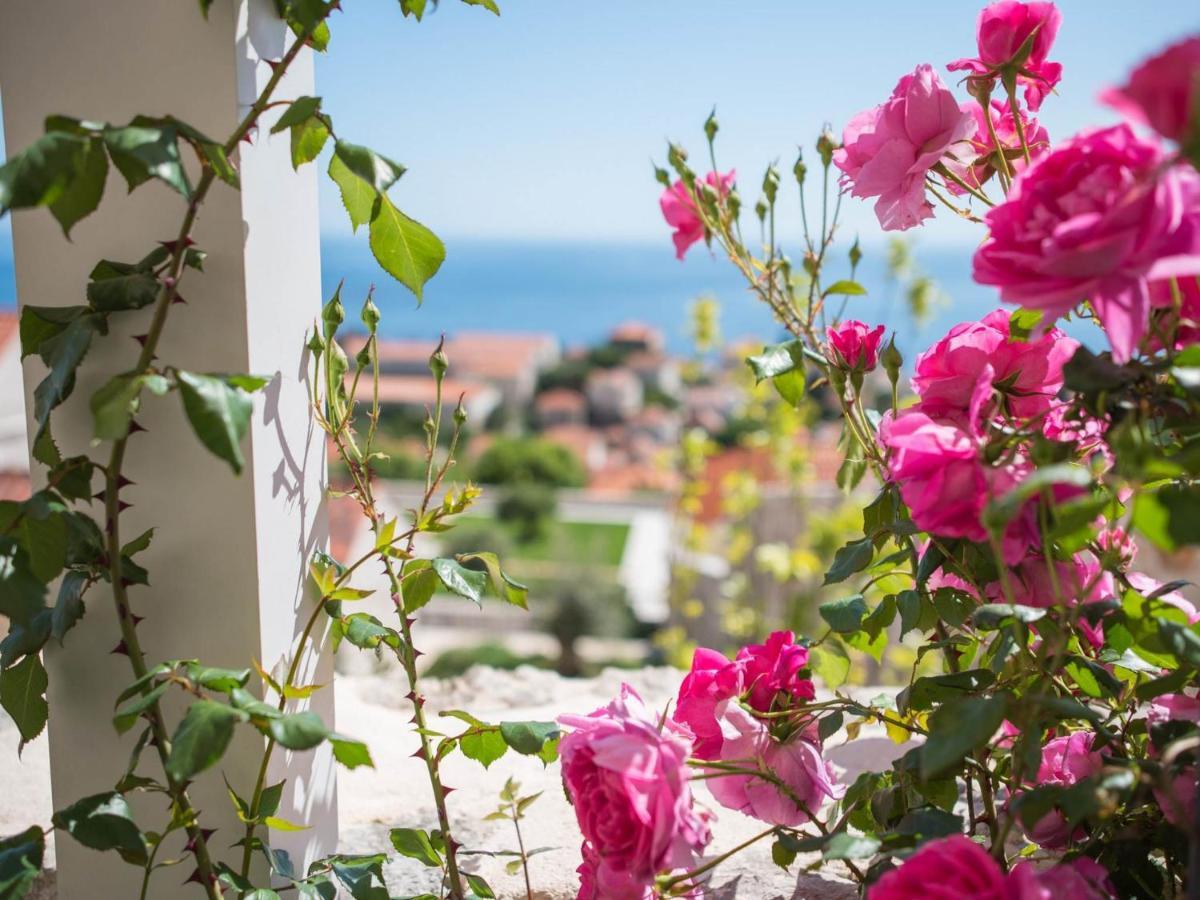 Apartment Faros Dubrovnik Bagian luar foto